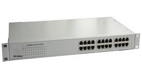Fast Ethernet Switch 